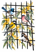 Garden Birds - Art Print
